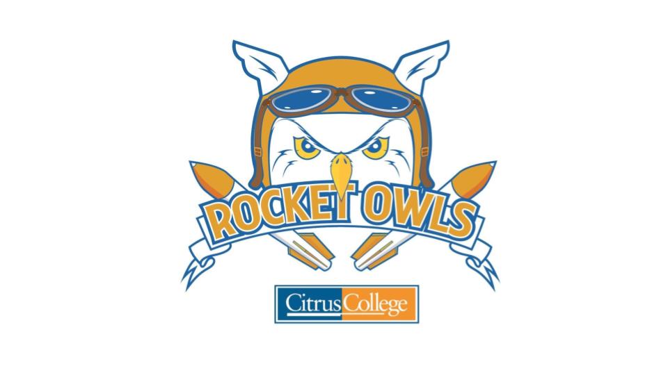 Rocket Owls team logo